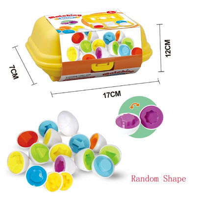 Matching Eggs Game- SweetPeaShop Exclusive - SweetPeaShop